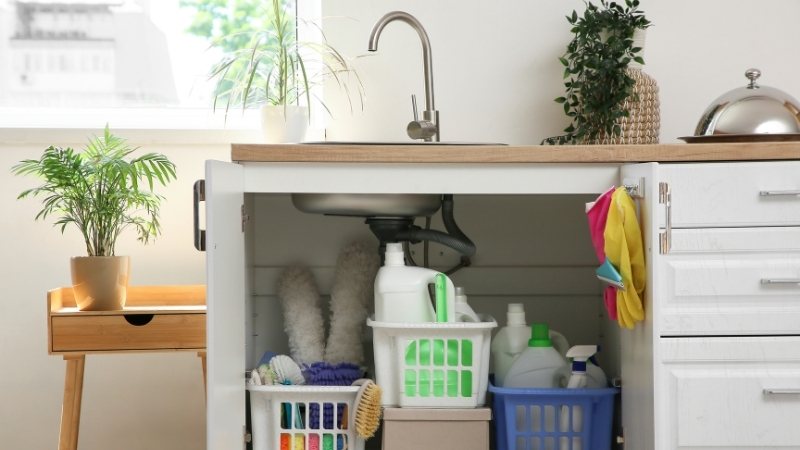 Cleaning supplies organized neatly under a kitchen sink