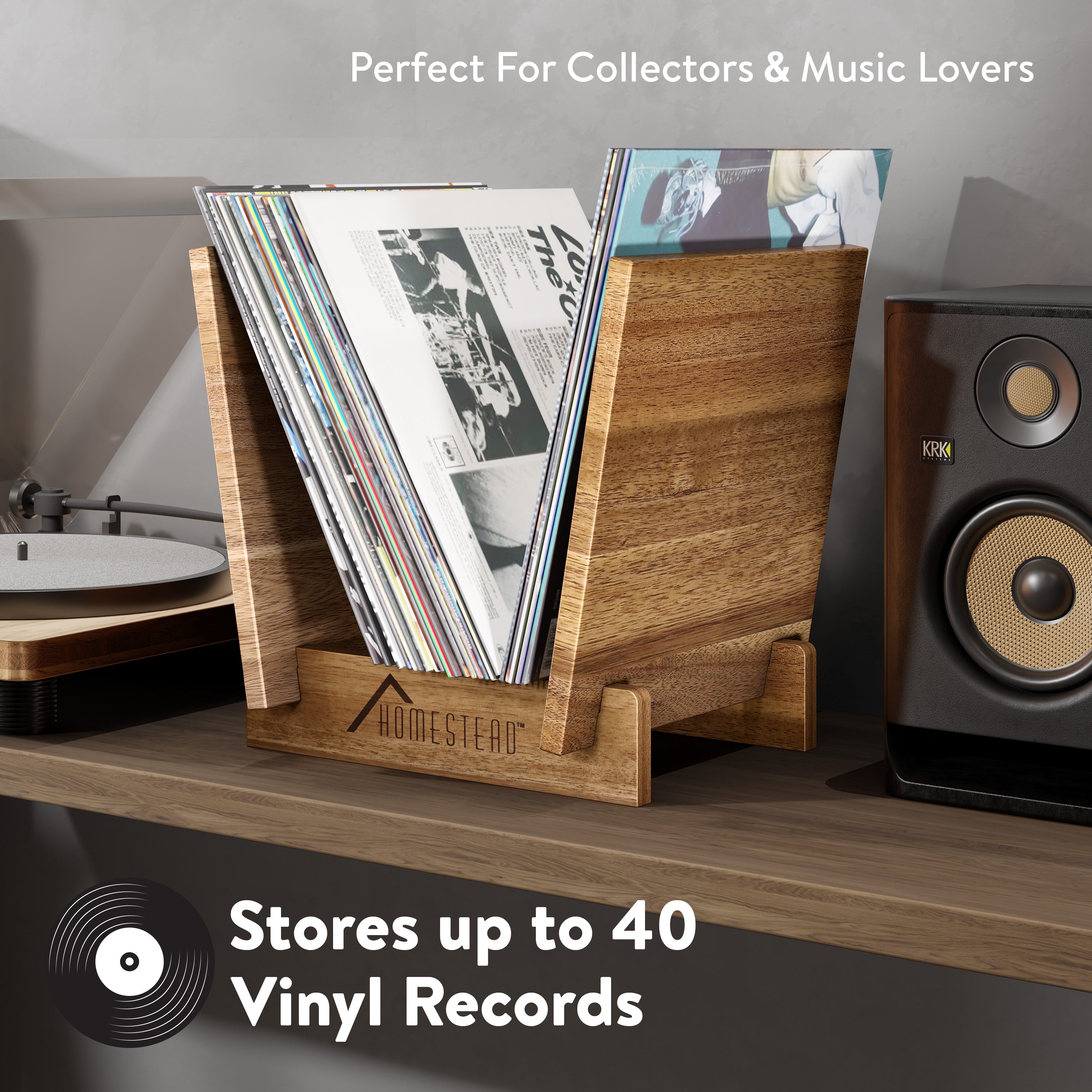 Homestead Rustic Vinyl Record Holder